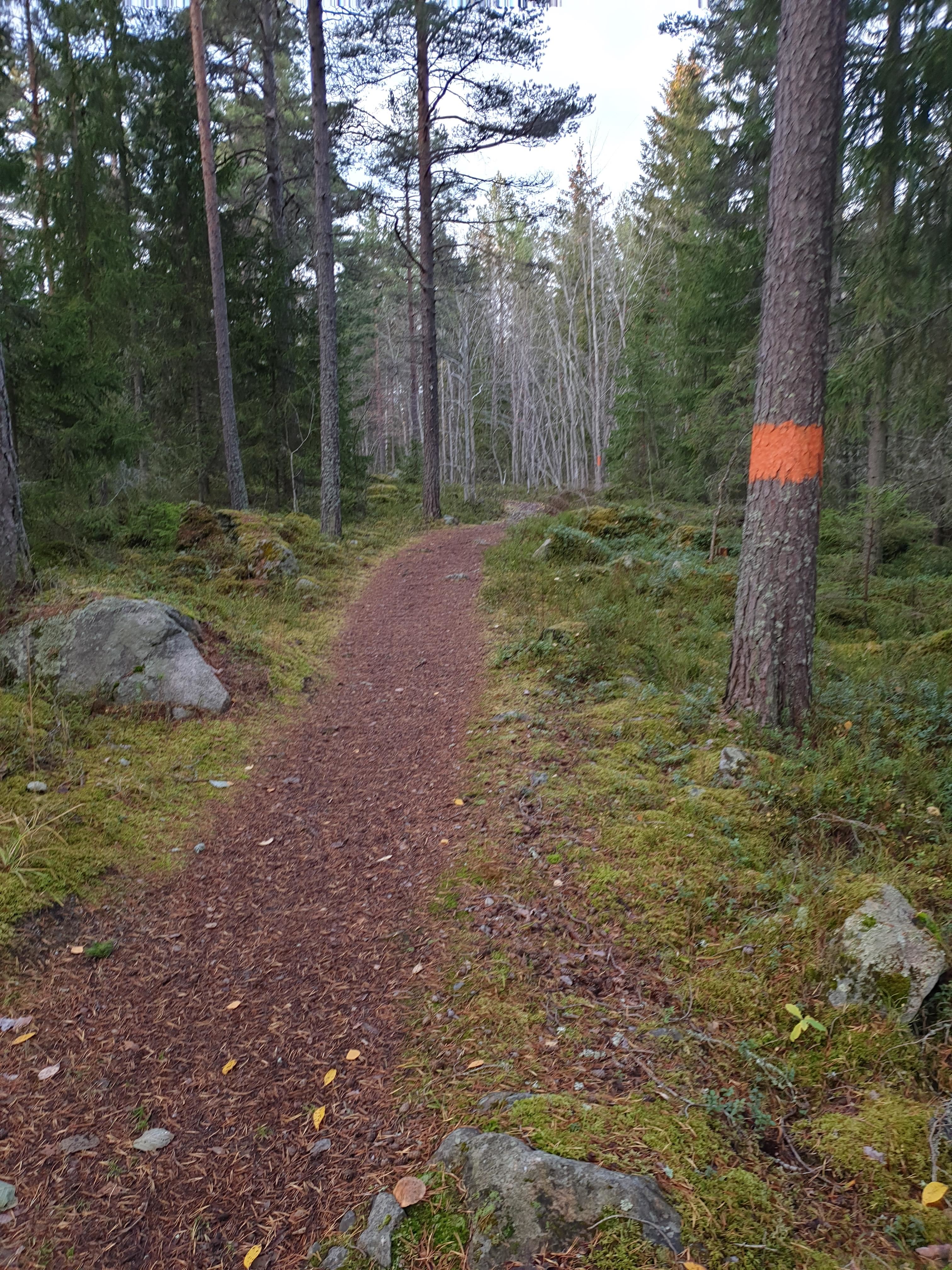 Borgarleden – näsviken