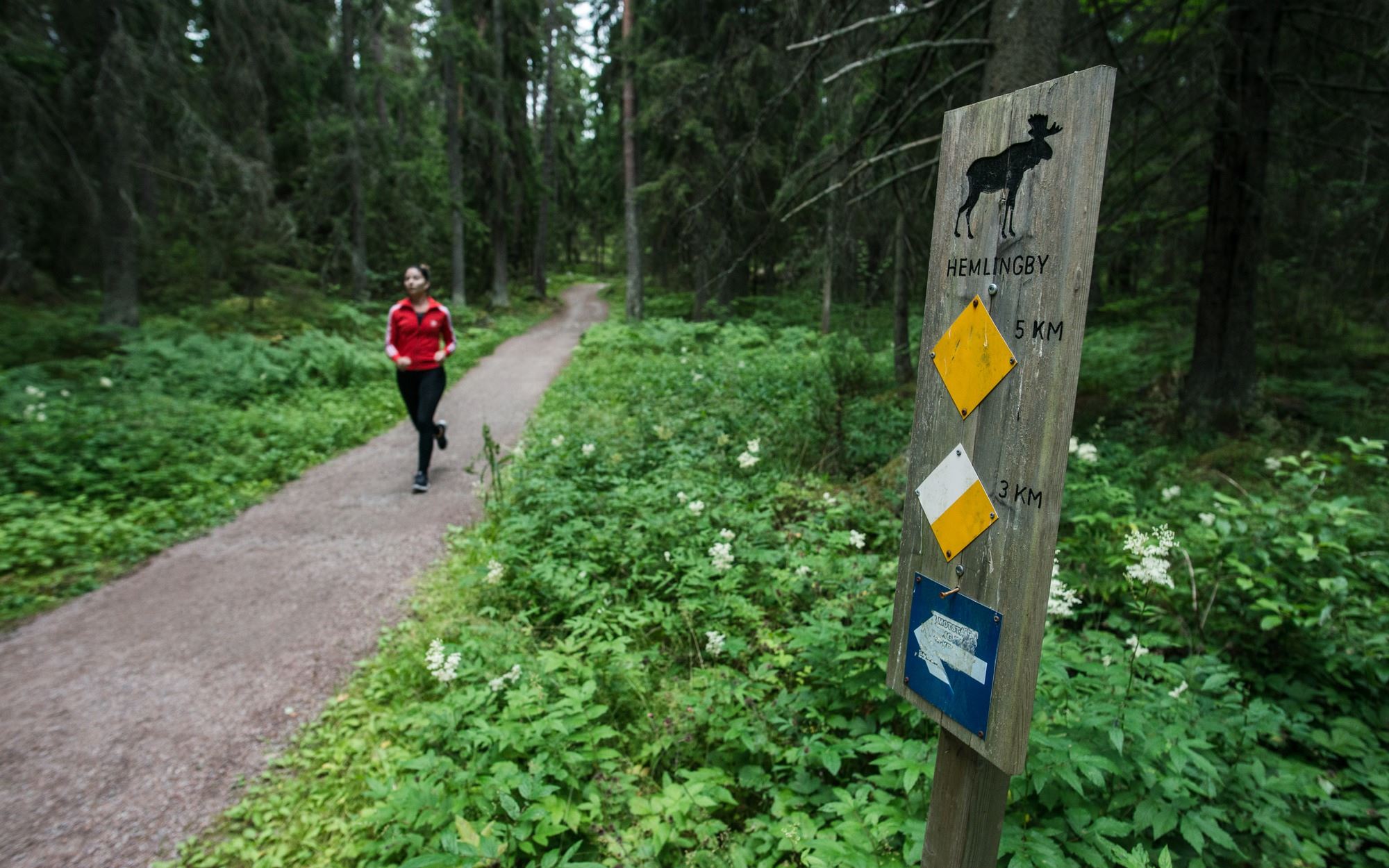 The Gästrikeleden Trail