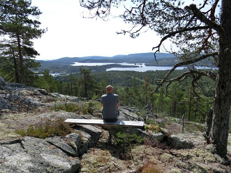 Utsikt Höga Kusten - Lill-Gälingsberget