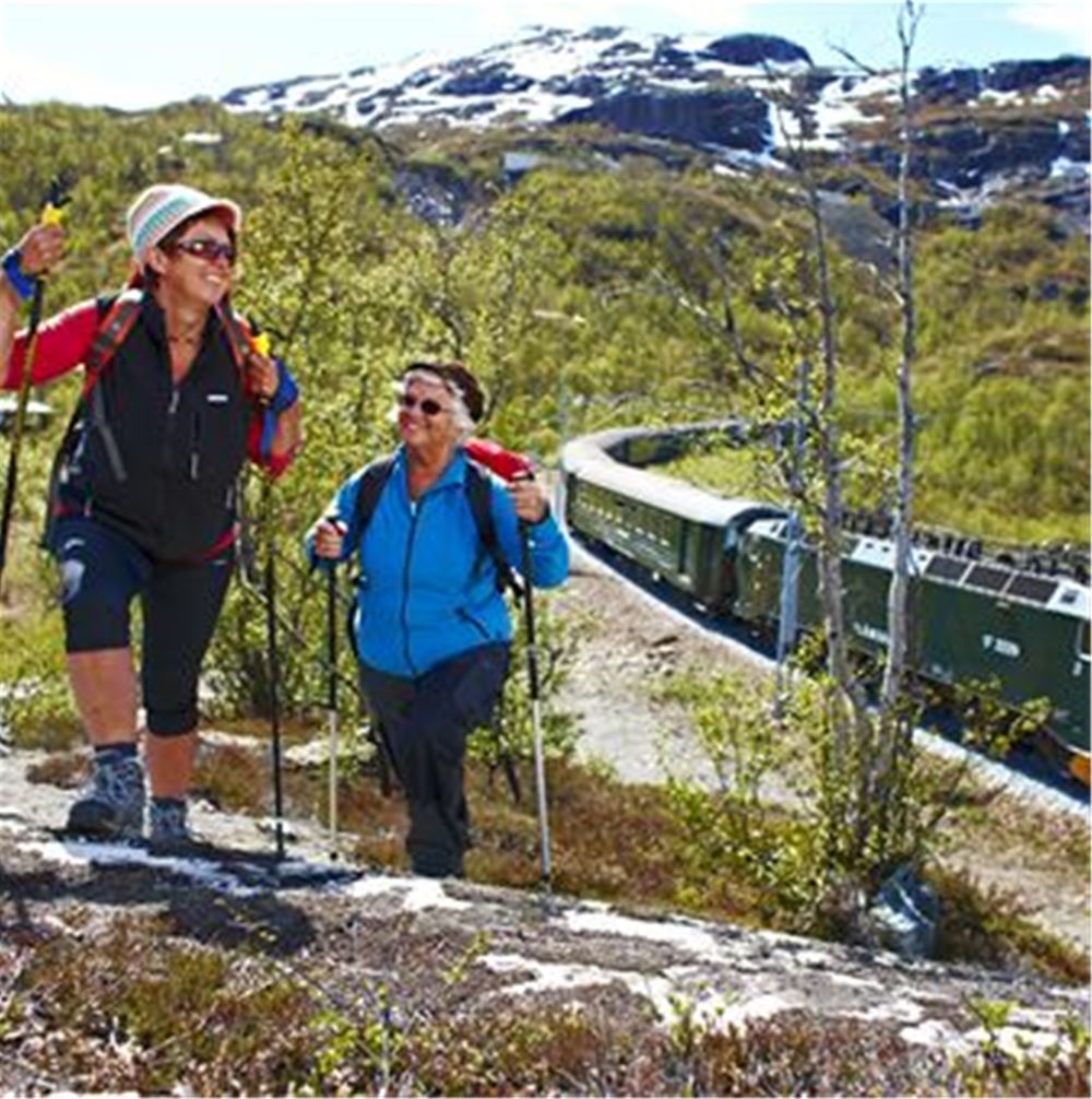 The Flåm Railway one-way