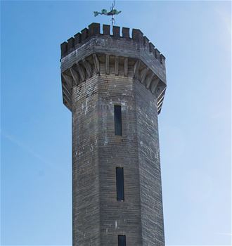 Bild av vattenborgens torn