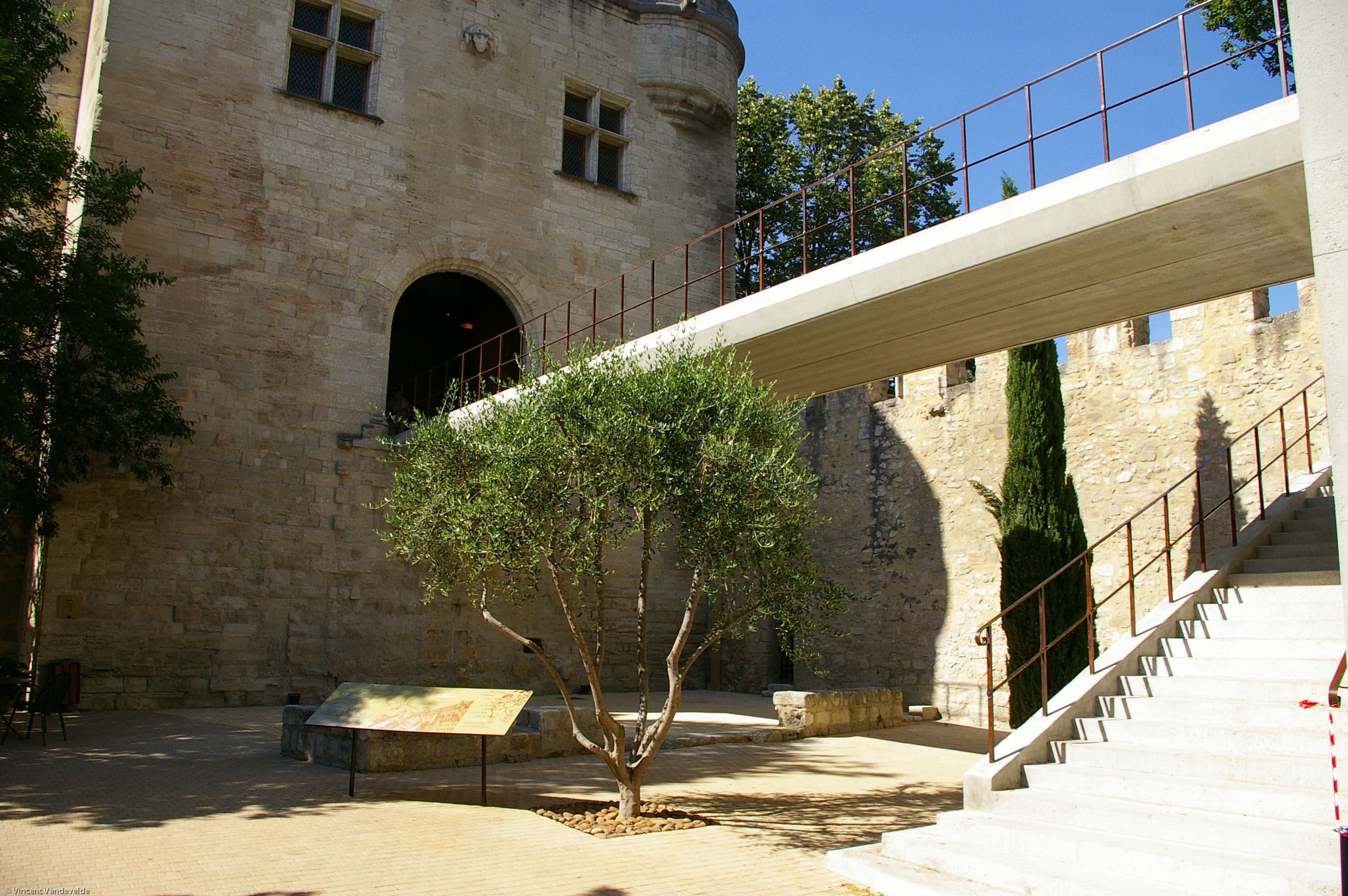 Pont D Avignon Patrimoine Evenements