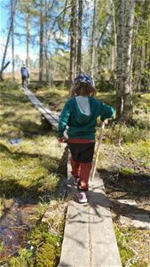 Ett barn i grön tröja och vandringskäpp i handen går på en träspång i granskog.