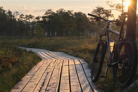 Cykel lutad mot ett träd bredvid en bred spång i trä i solnedgång.