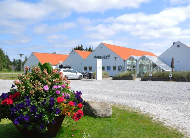 Skagen strand feriecenter