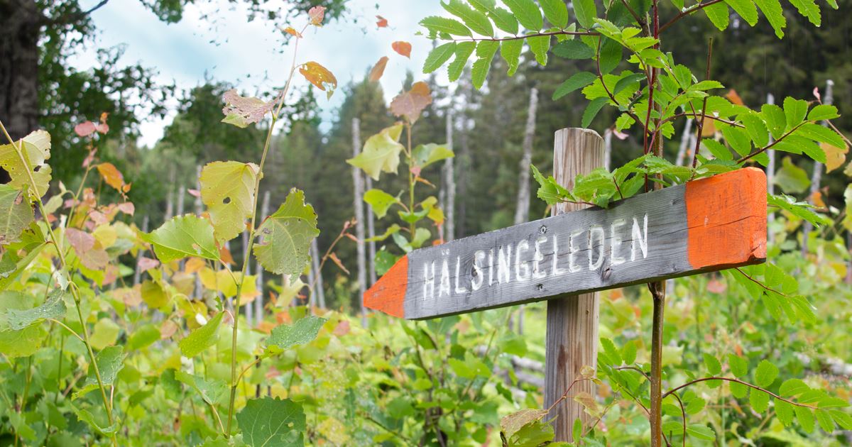 Hälsingeleden – Bollnäs