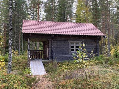 The timber cottage in the forest.