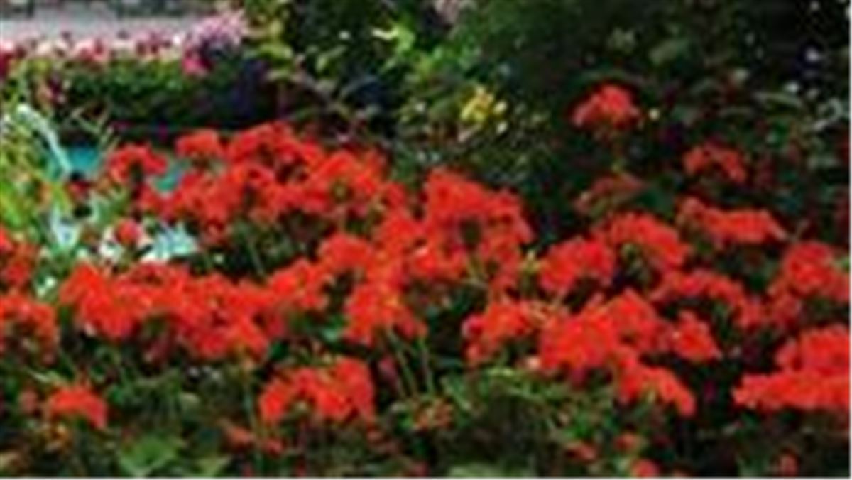 Strykjärnsparken image 1