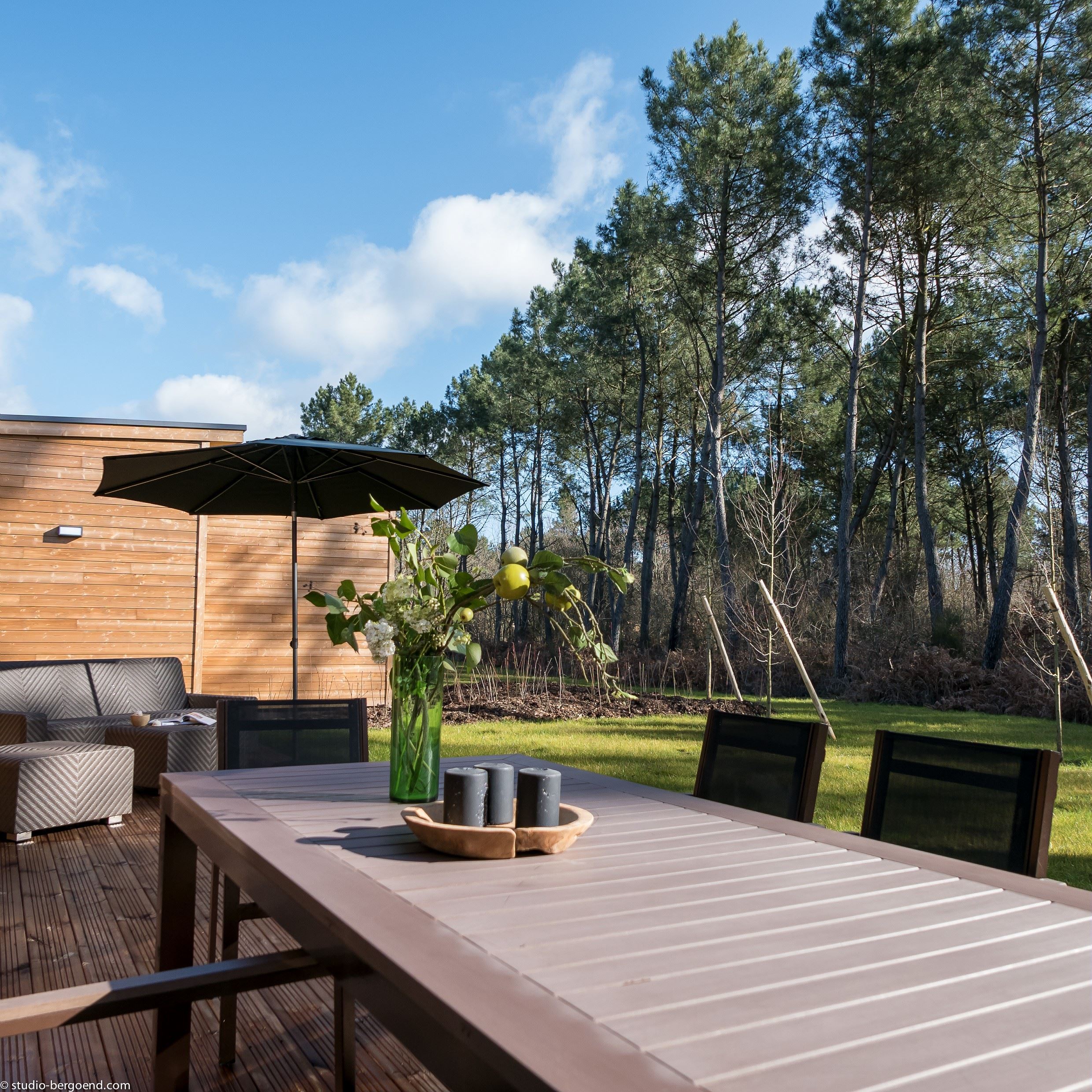 Location Voiturette Center Parc Bois Aux Daims