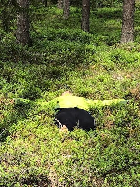 Dellenbygdens Naturhälsa – Delsbo
