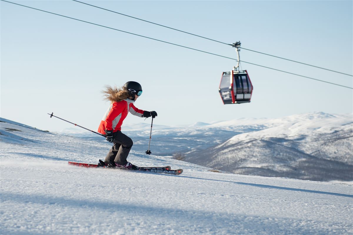 Alpina Skidor. Grön Nivå - Passar nybörjare. image 1