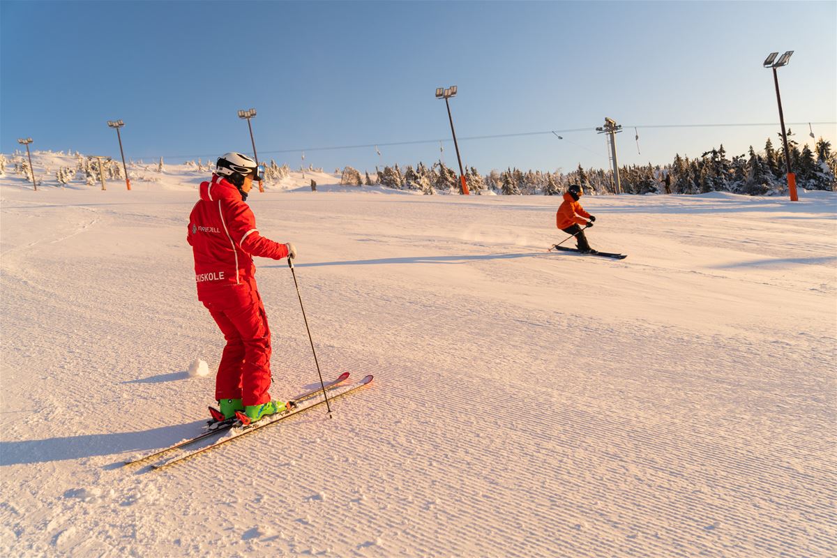 Privattimer - 45 min - Skistua image 1