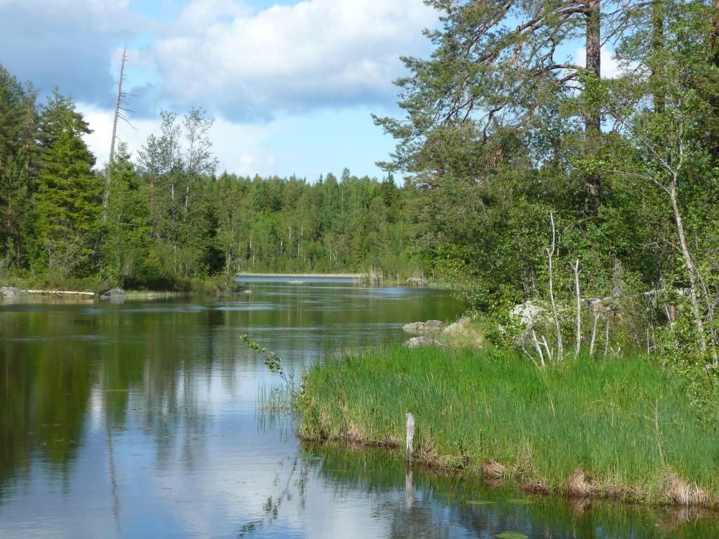 Iggesunds Sportfiskeklubb