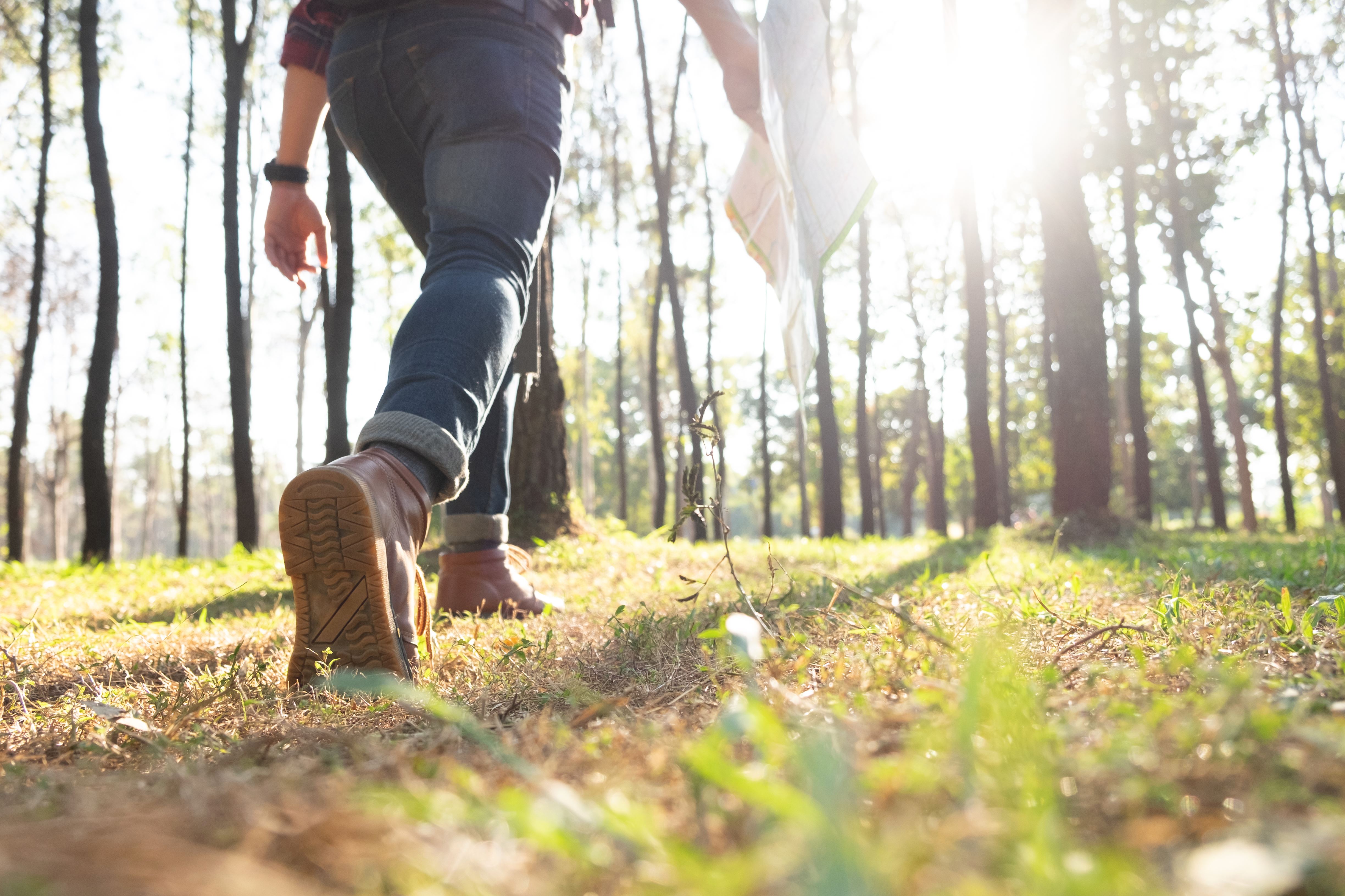 Trails in Sandviken