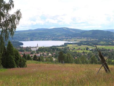 View over Siljansnäs.