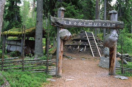 The entrance to the museum with a lot of wood and surrounding forest.
