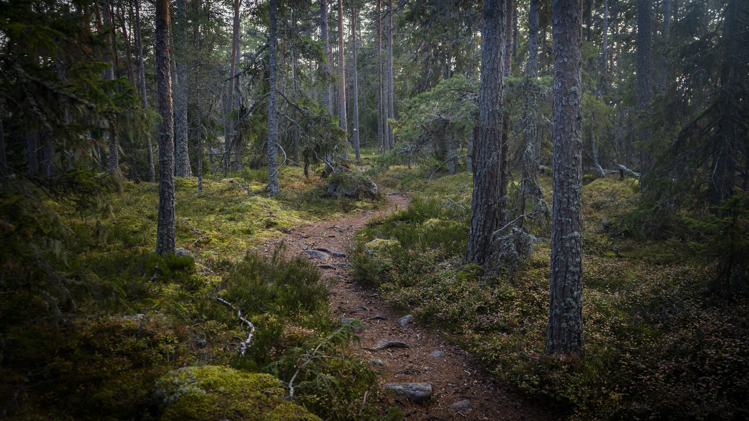 Visit Åland