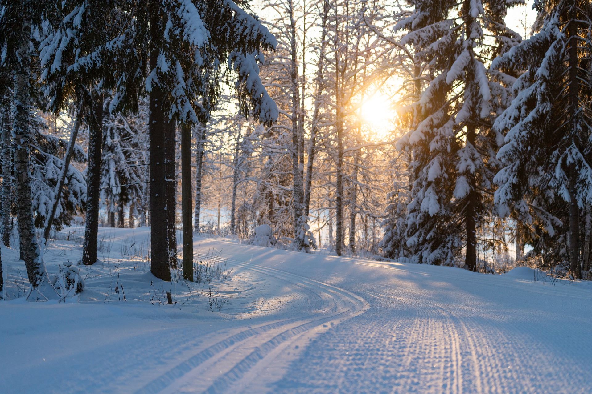 Skidspår i Ilsbo – Ilsbo