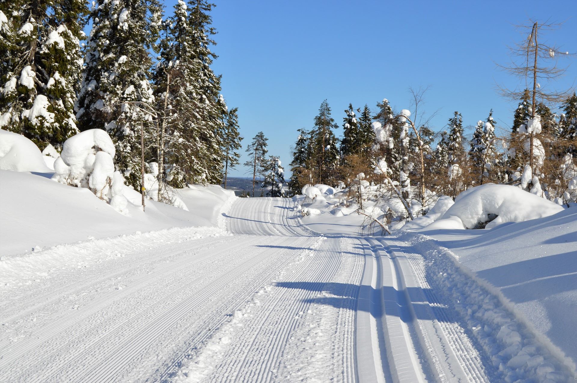Skidspår i Gnarp – Gnarp