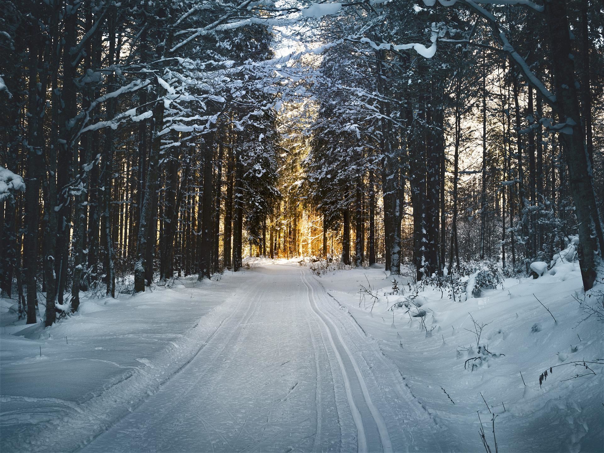 Skidspår i Bergsjö - Råsjövallen – Bergsjö