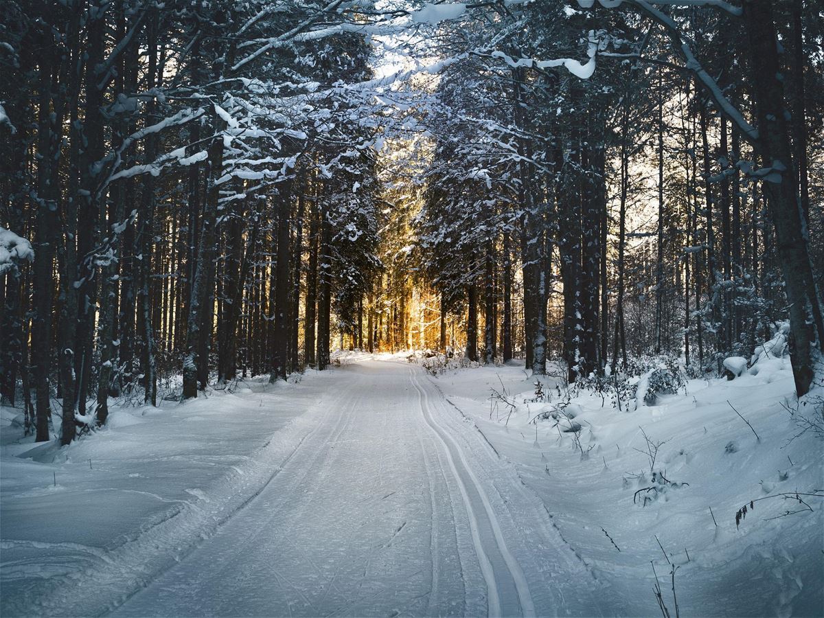 Färgbild - vy över skidspår i vinterlandskap