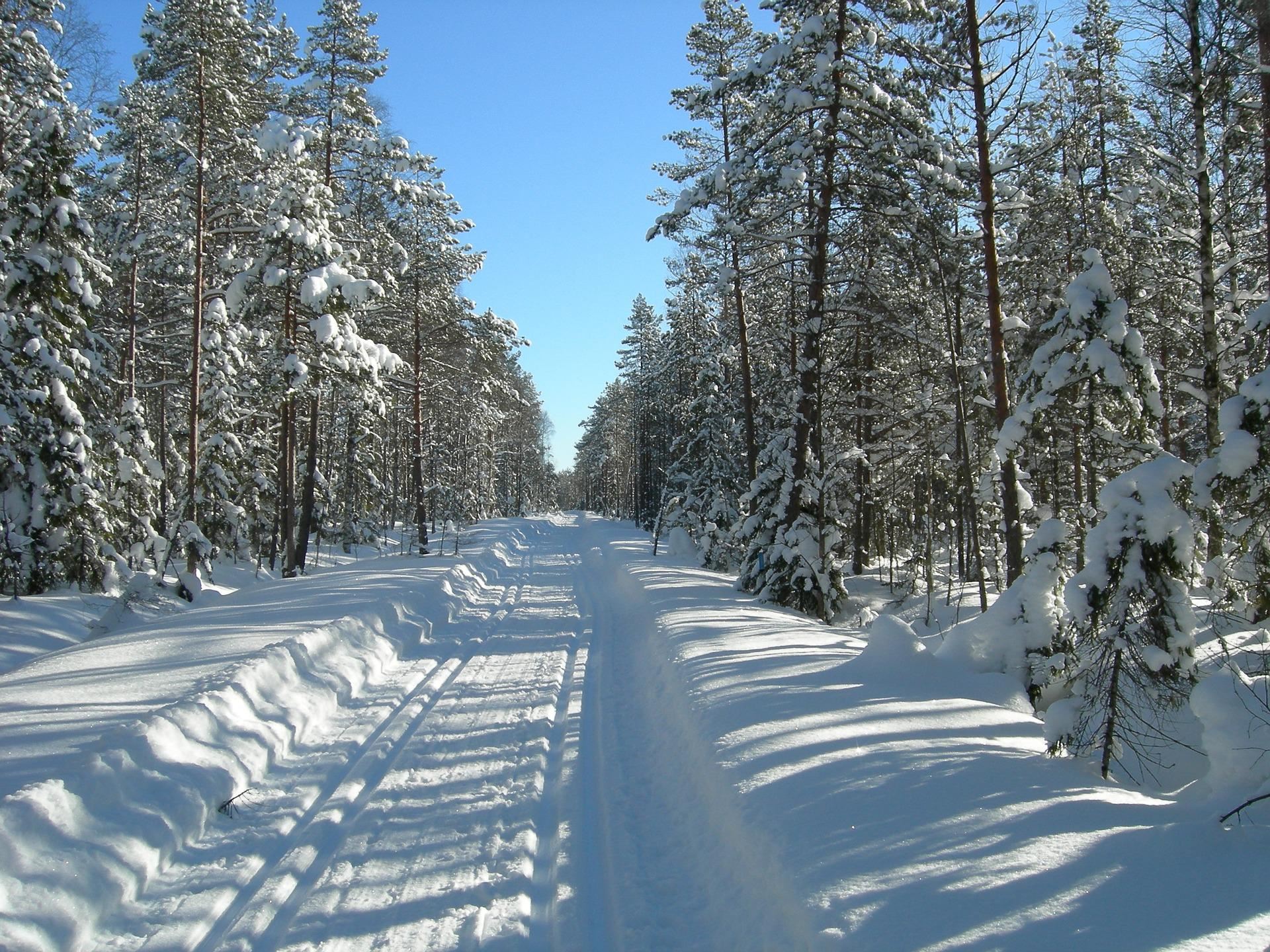 Skidspår i Jättendal – Jättendal