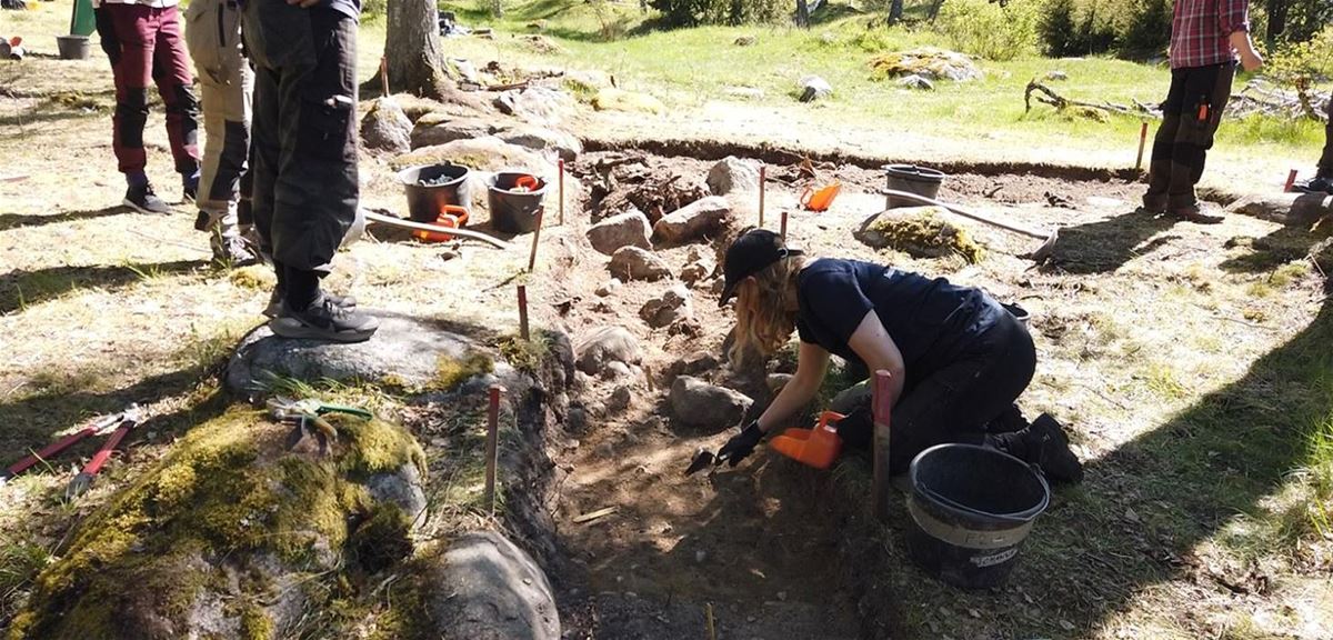 Kulturhistoriska museum: Föreläsning om Stadsvallar och hamnlägen vid Birka på Björkö i Mälaren image 1