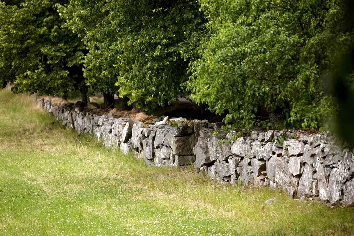 Naturreservat Hakatorp image 1