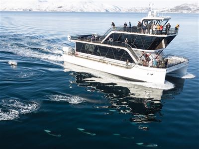 Brim Explorer’s hybrid-electric catamaran at sea with snow-covered mountains in the background