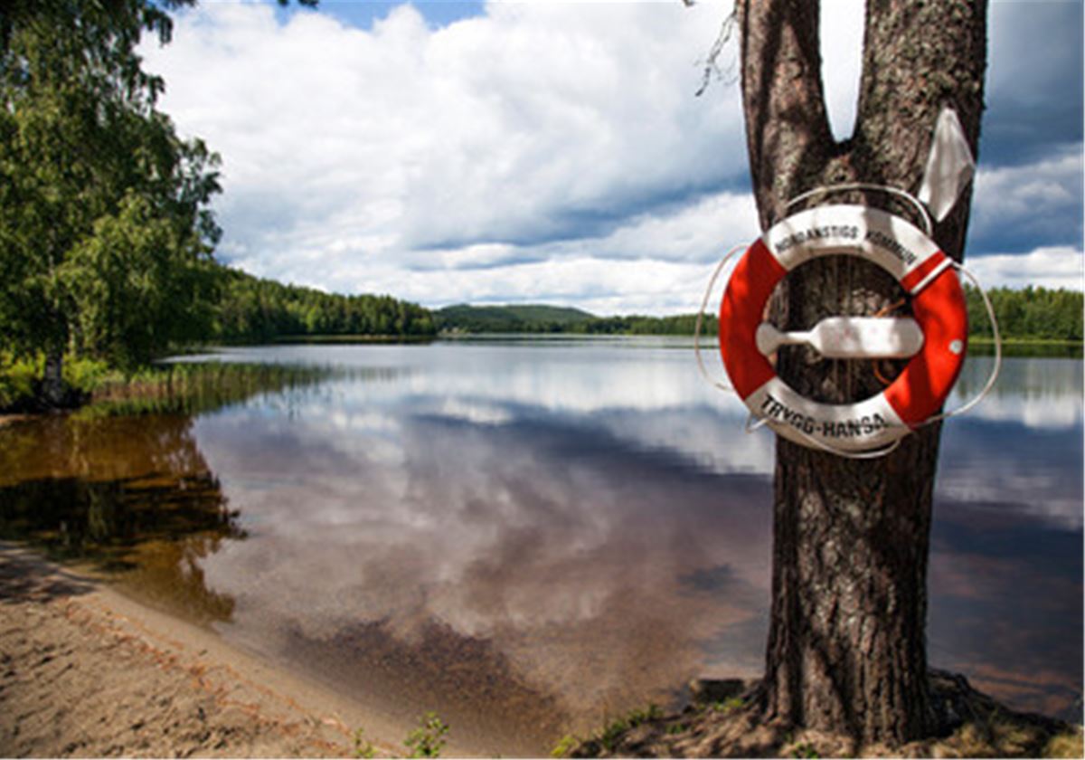 Färgbild - badplats och badstrand