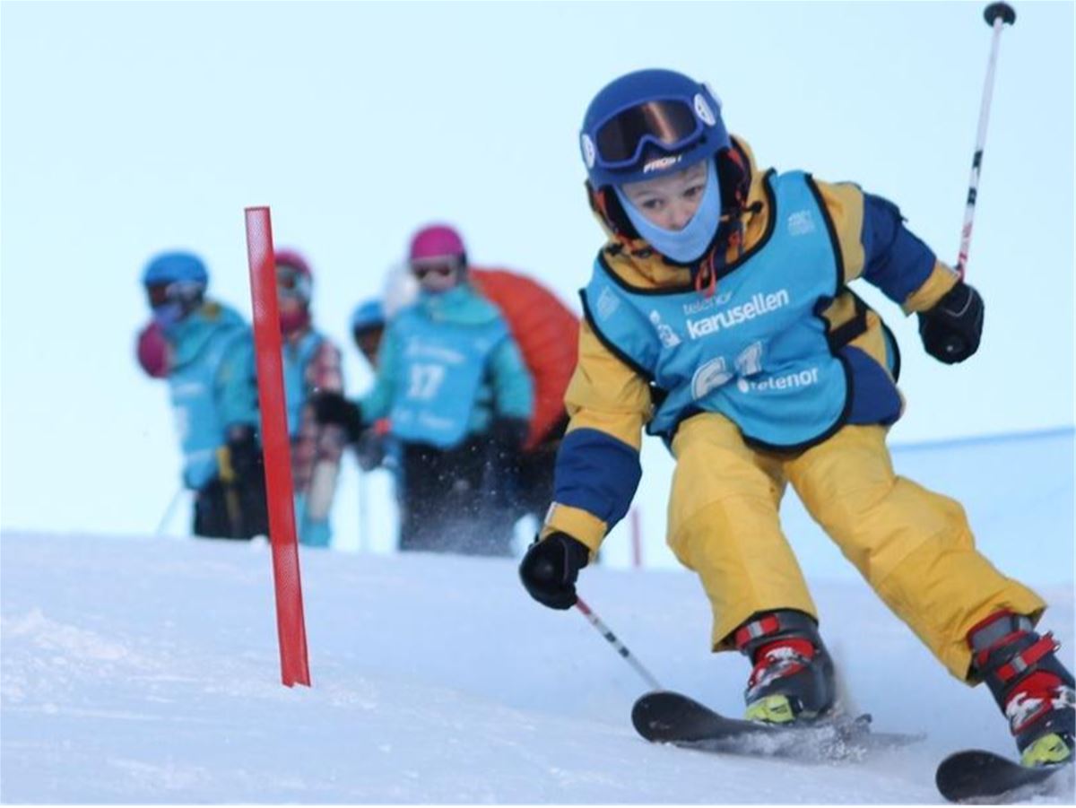 Fjelltusser 7-10 år - nybegynner image 1