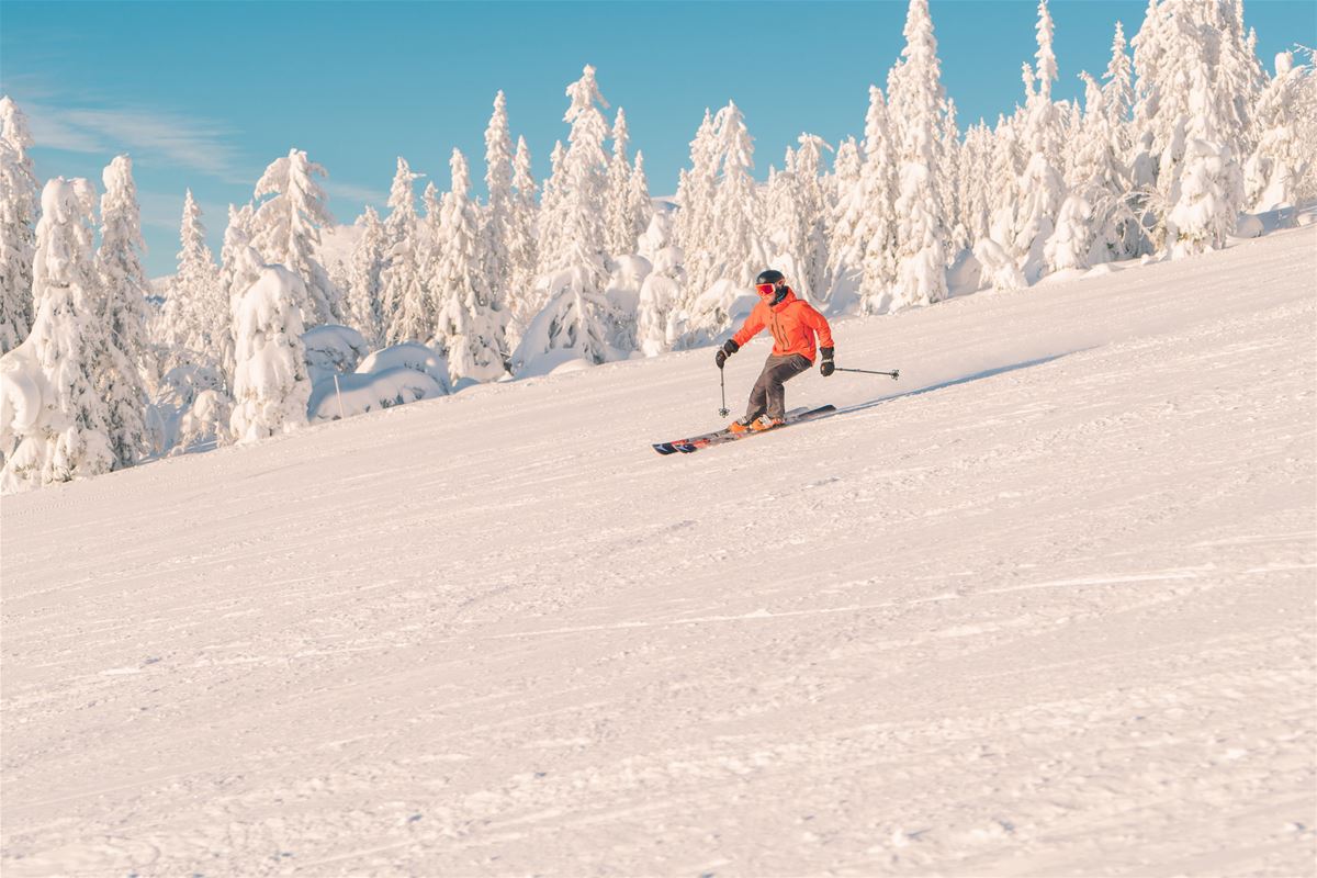 Ski weekend - 10 % discount  image 1