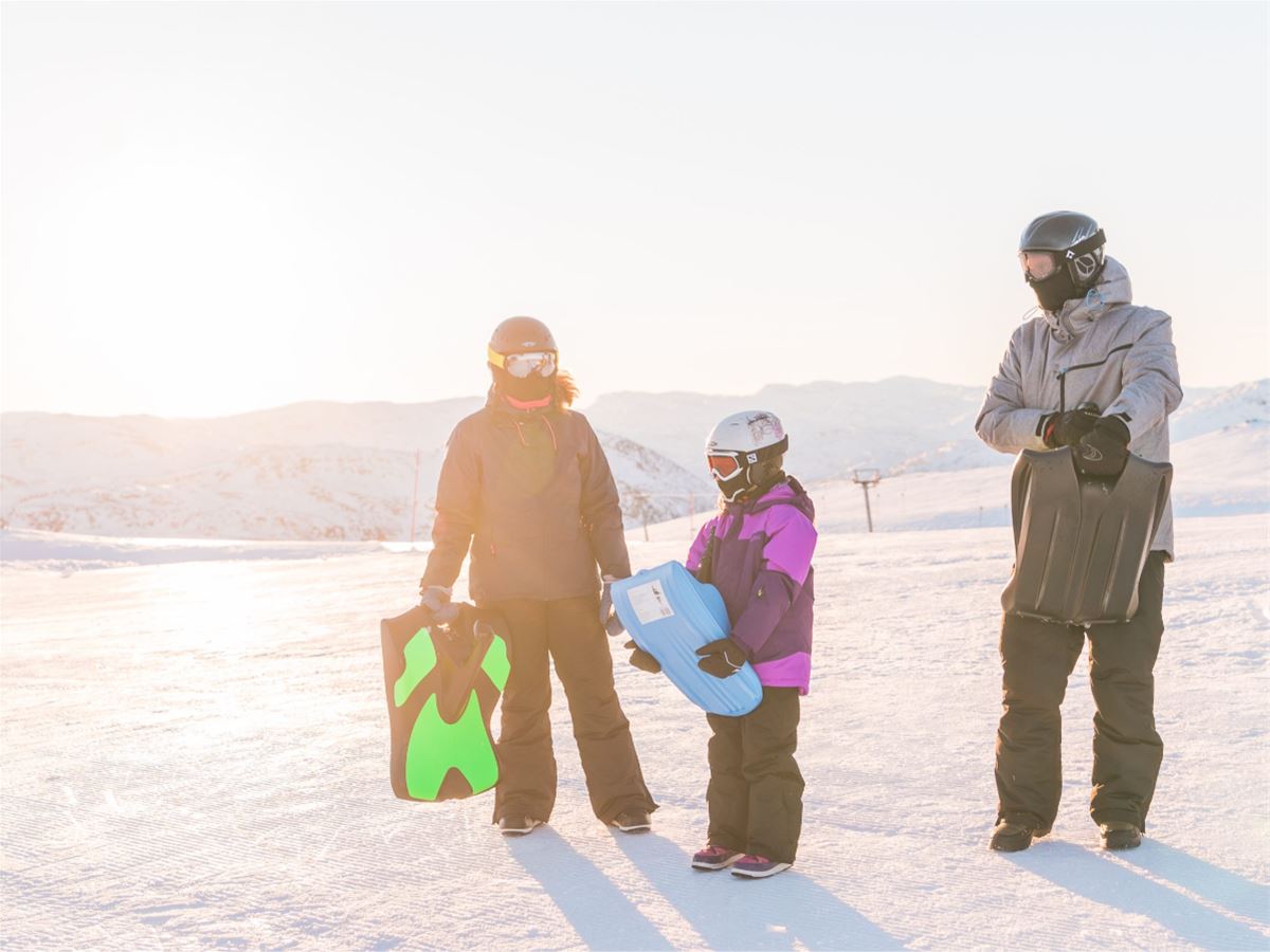 Sledding Standard image 1