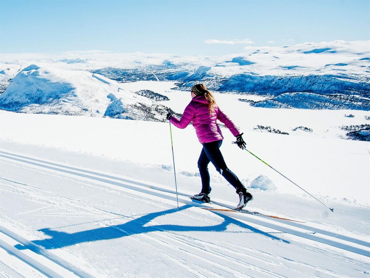 Cross country - 90 min image 1