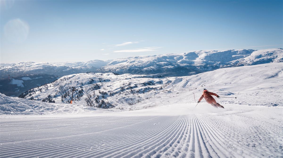 Private Alpine (150 min) image 1