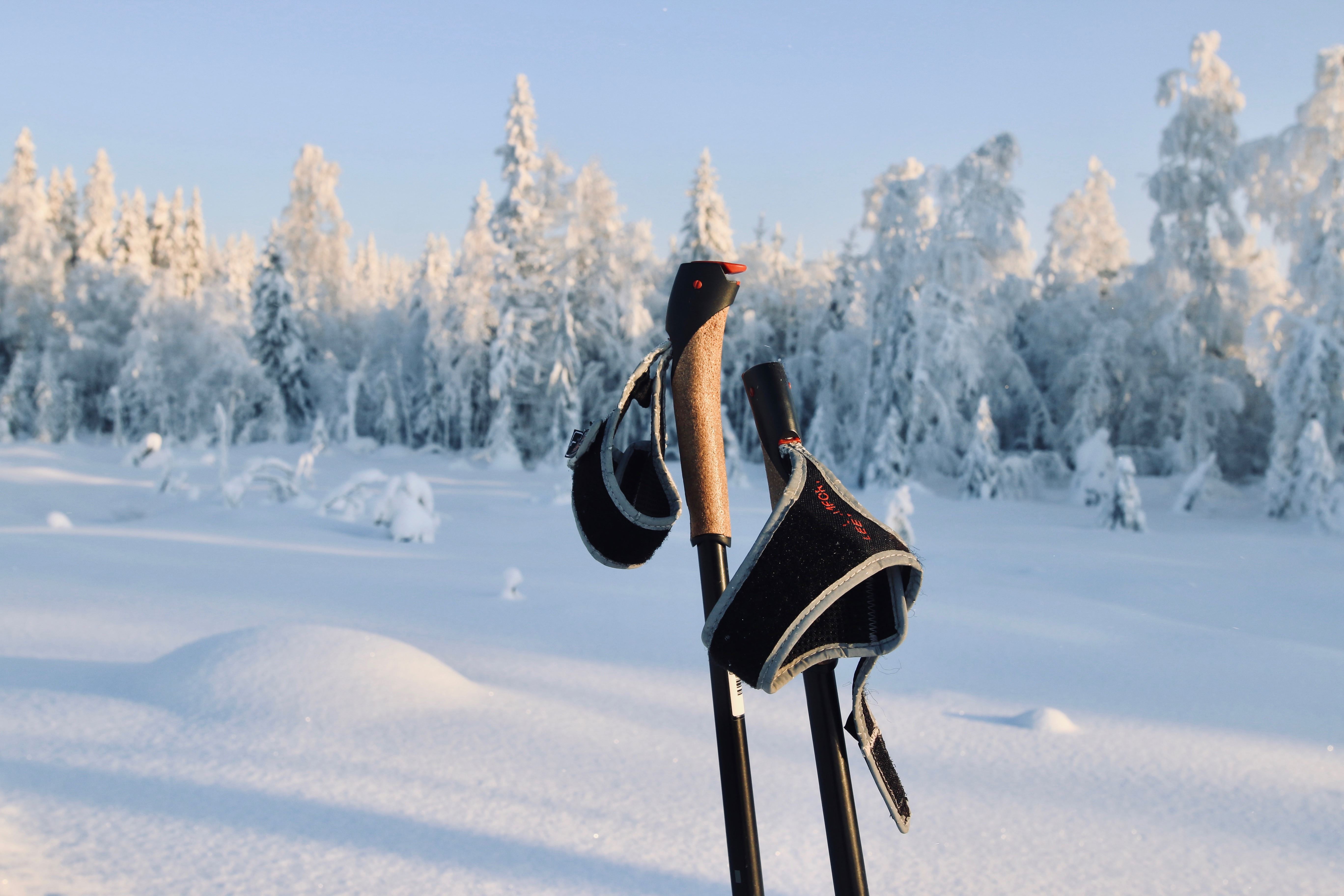 Skidspår - Trogstaspåret – Forsa