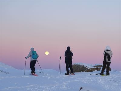 Guests snowshoeing through an open winter landscape surrounded by snow-covered mountains with Legendary Adventure.