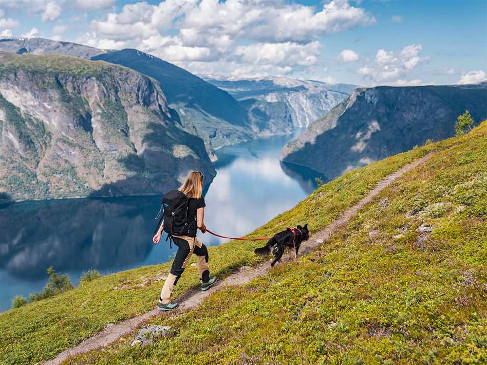 Guided hike to Mt. Prest