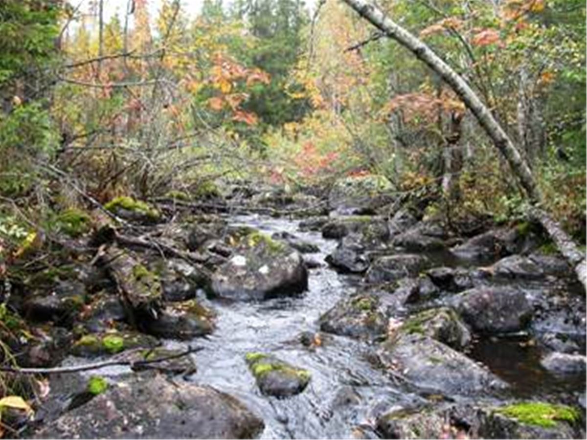 Bodsjöån, naturreservat, Hassela
