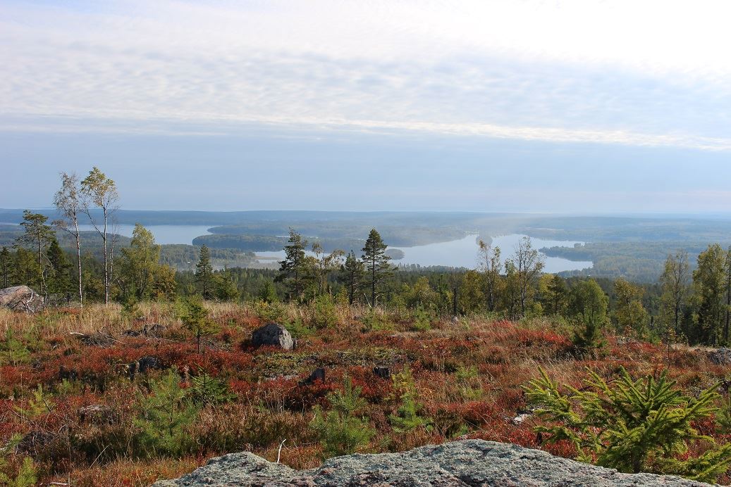 Bålleberget - Bergsjö – Bergsjö