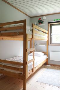 cbis:1803257-10