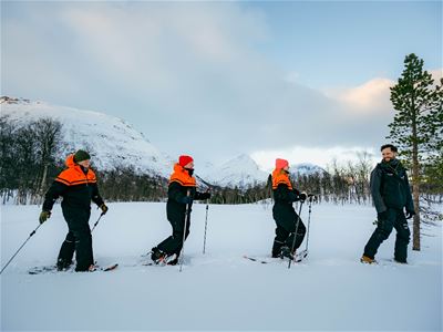 Trugetur i Tamokdalen